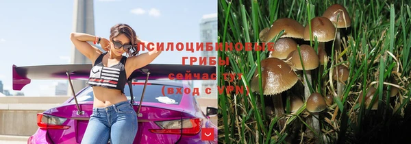 тгк Гусиноозёрск